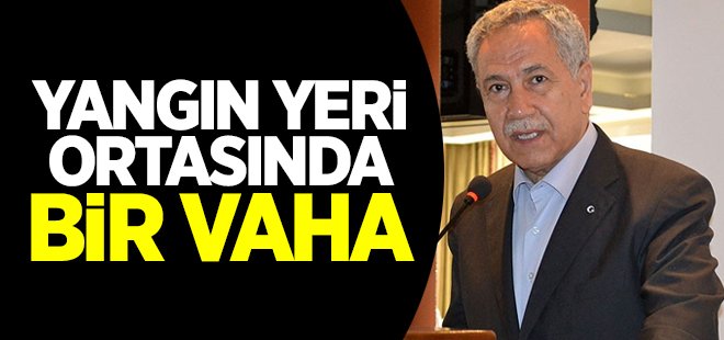 Türkiye bu yangın yerinin ortasında bir vaha gibi