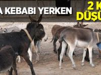 Adana'da at ve eşek eti operasyonu