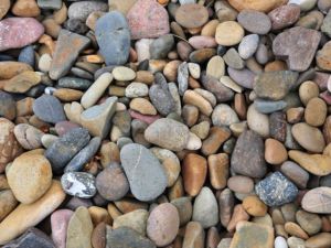 İnsan vücudunda bulunan ilginç nesneler