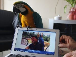 Özal'ın papağanı 22 yıldır "babasını" unutamıyor