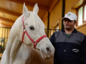 "Yüzünün güzelliği yavrularına yansımış"
