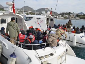 46 kaçak yakalandı