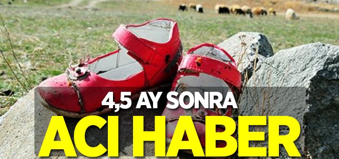 Van'dan üzücü haber! Ceset Nehir'e aitmiş