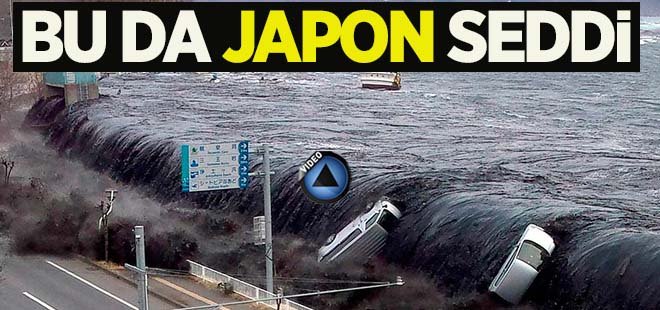 Tsunamiye karşı duvar