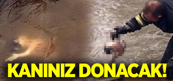 Kars Çayı'nda bebek cesedi bulundu