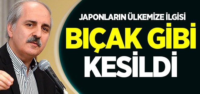 "Japon turistlerin Türkiye'ye ilgileri, bıçak gibi kesilmiş"