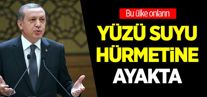 Onlara ölüler demeyiniz