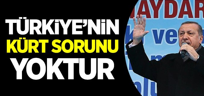 'Kürt sorunu değil Kürt kardeşlerimizin sorunları vardır'