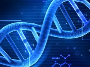 Rusya DNA bankası kuruyor