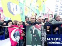 Brotherhood of the wolf