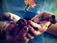 MDK -Muhalif Dil Kurumu-