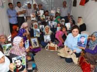 Silah bırakma çağrısı ümitlendirdi