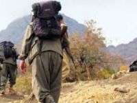 Dağa kaçırılan 2 kişi kurtarıldı