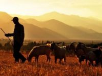 Otlatma tartışmasında kan attı: 1 ölü