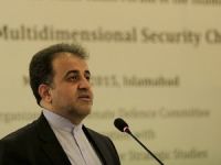 'Türkiye D-8 ülkeleri arasındaki en aktif ülke'