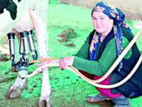 Mikro destek makro değişim