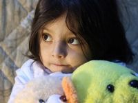 Tek umudu karaciğer nakli