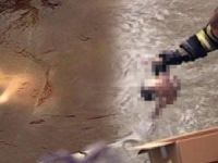 Kars Çayı'nda bebek cesedi bulundu