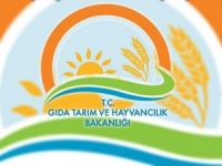 Taklit ve tağşiş yapılan ürünler açıklandı