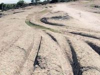 Afyon’da 14 milyon yıllık araç izleri