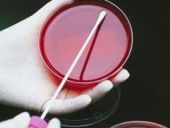 Bakteri direncini önleyen antibiyotik bulundu