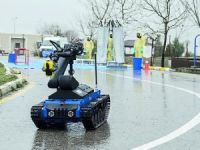 İşte şehrin kaplan korumaları