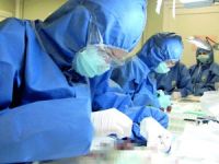 Bu hormon herkesi kurtaracak