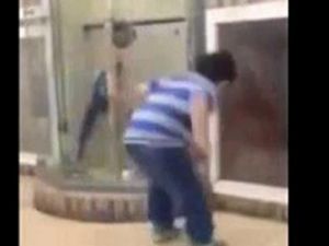 Köpeğin görüntüsü yetti