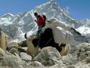 Google Everest'e götürüyor