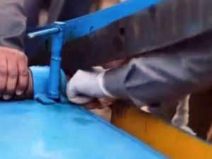 IŞİD, hırsızlıkla suçladığı gencin elini kağıt giyotiniyle kesti