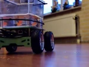 Araba kullanan balık